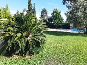 Photo de la galerie de l'établissement Villa con piscina Circeo - Sabaudia, à Borgo Montenero 40 autres photos