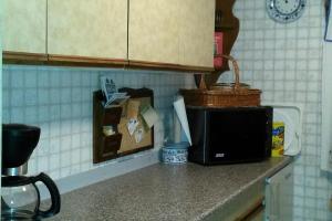 a kitchen counter with a microwave on a counter top at Ferienwohnung Riemer in Geisa