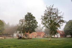 a group of trees in a field in front of a house at Gut Moorbeck in Amelhausen