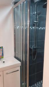 a bathroom with a shower with a glass door at Appartement Le Bonheur in Pibrac