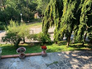 A garden outside Villa Dei Cedri