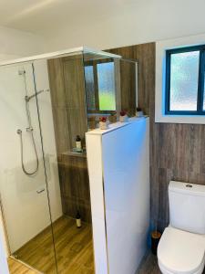 a bathroom with a shower and a toilet at River cottage in Blairgowrie