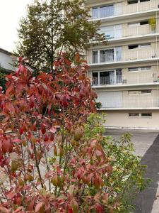 uma árvore com folhas vermelhas em frente a um edifício em Centre Reims Cathédrale avec balcon em Reims