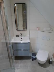 y baño con aseo, lavabo y espejo. en Superbe appartement type T1 proche Strasbourg en Truchtersheim