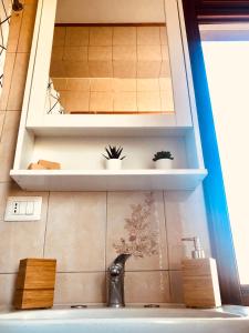 La salle de bains est pourvue d'un lavabo et de 2 plantes sur les étagères. dans l'établissement Residenza Donna Maria, à Ercolano