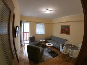 a living room with a couch and a table at Apartman Djole in Brzeće