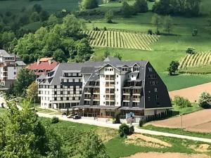 an aerial view of a large apartment building in a vineyard at Apartman Djole in Brzeće