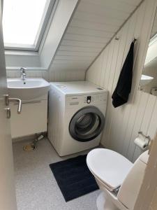a bathroom with a washing machine and a sink at Centrum lejlighed in Viborg +6 photos