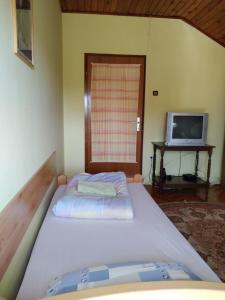 TV a/nebo společenská místnost v ubytování HOSTEL BATA APARTMANI