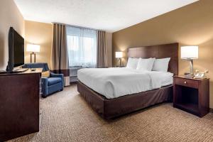 Comfort Inn & Suites Montpelier-Berlin في مونبلييه: غرفه فندقيه سرير وتلفزيون