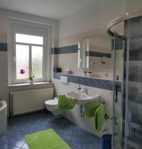 uma casa de banho com um lavatório, um WC e um chuveiro em Ferienwohnungen Stricker em Bad Muskau