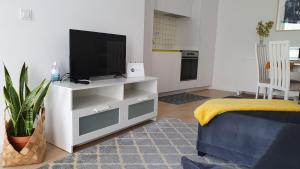 a living room with a television on a white entertainment center at Palmeira Comfort in Aveiro +6 photos