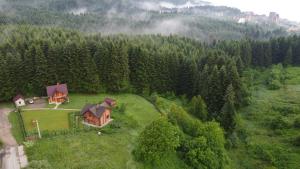 Príroda v okolí dovolenkového domu