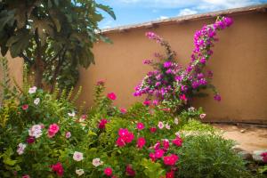 un jardin de fleurs roses devant une maison dans l'établissement La Maison Anglaise Garden Ecolodge, à Taroudant