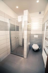 a bathroom with a shower and a toilet at Penzion Třetí frejd in Bořetice