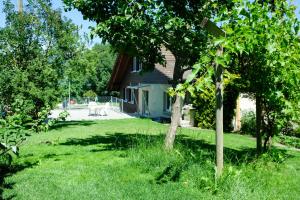 une cour avec une maison et un arbre dans l'établissement Hauswurz, à Thun