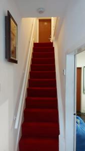 a red carpeted staircase in a house at Midtown GuestHouse in Liverpool