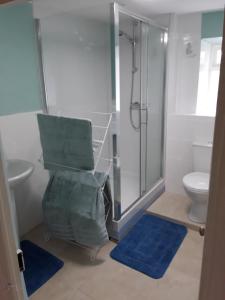 a bathroom with a shower and a toilet at Sharlands Farm Bed and Breakfast in Bude