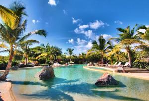 a swimming pool with rocks in the water with palm trees at Casa en Paraiso RD in Bayahibe