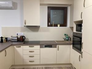 Kuhinja oz. manjša kuhinja v nastanitvi ELIXÍR Apartman Pécsvárad