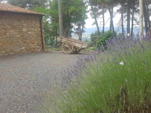 Zahrada ubytování Casa Vacanze "L'Aione"