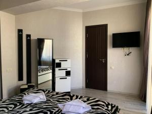 TV a/nebo společenská místnost v ubytování Villa Astoria Bakuriani