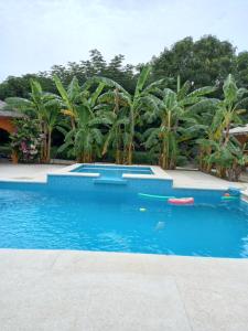 a blue swimming pool with palm trees in the background at B & B Mariamacounda in Toubakouta
