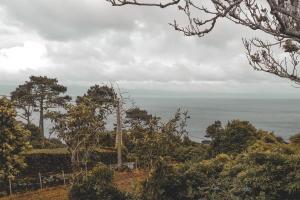 a view of the ocean from a hill with trees at Adegas do Pico in Prainha de Baixo