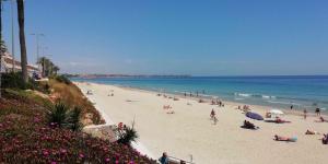 Plaża w apartamencie lub w pobliżu