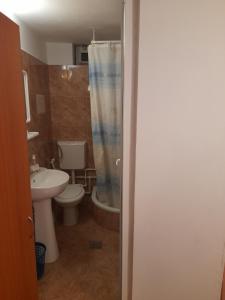 Koupelna v ubytování casa andrei m