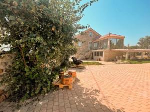 a house with a large tree and a brick driveway at DIGNUS HOUSE in Folhadosa