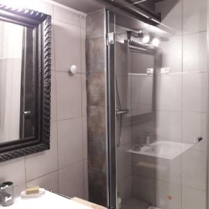 uma casa de banho com um chuveiro, um lavatório e um espelho. em LE LOGIS DU PALAIS em Marselha