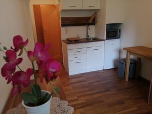 a small kitchen with white cabinets and a potted plant at Stubnerblick in Bad Gastein