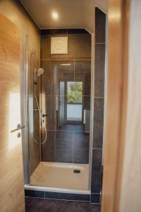 a shower with a glass door in a bathroom at Aberle Apartments in Rossleithen