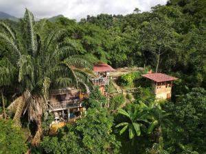 a house in the middle of a jungle with trees at Sol de Minca Eco Lodge in Minca
