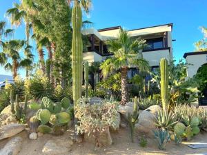 a house with a lot of cacti and other plants at Spectacular Vacation Home Ocean View Walk to Beach in Cabo San Lucas