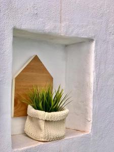 Fotografie z fotogalerie ubytování La Terraza del Teatro - Free parking v destinaci Cartagena