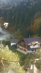 Příroda nedaleko chaty