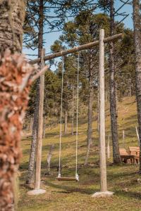 an empty swing in a park with a bench at URUBICI - Cabana da Montanha in Mundo Novo
