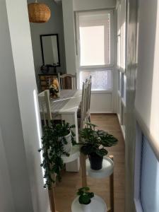 a dining room with a table and chairs with plants at El 0tro Cuartín in Ponferrada
