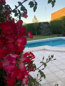 un arbusto con flores rojas junto a una piscina en Posada “LA MARGARITA” en San Rafael