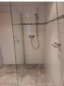 W łazience znajduje się prysznic ze szklanymi drzwiami. w obiekcie FeWo Marie Magdalena w mieście Groß Köris