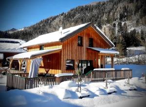Chalet Steiermark v zimě