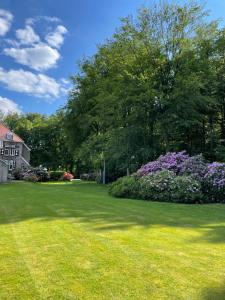a yard with green grass and purple flowers at Villa Rozenhof in Almen