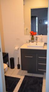 a bathroom with a sink and a toilet and a mirror at Green Acres B&B in Beechmont