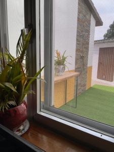 Ogród w obiekcie Villa Entre Encinas