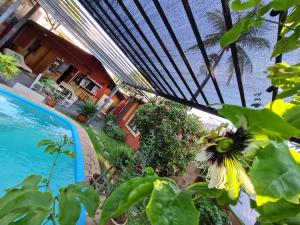 Bazén v ubytování Nomada Hostel nebo v jeho okolí