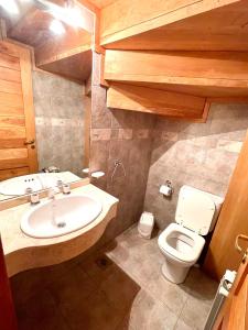 ein Bad mit einem Waschbecken und einem WC in der Unterkunft Apart Quillen 1 in San Martín de los Andes