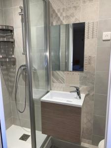a bathroom with a sink and a shower at Studio Vagliano in Cannes