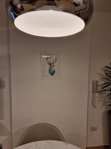 科尔多瓦Nueva Córdoba - Premium的相册照片